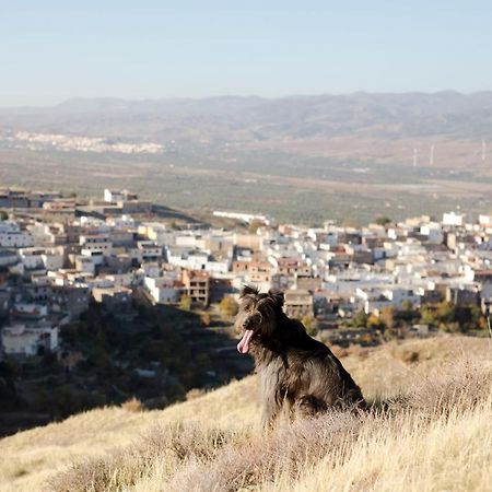 La Flecha Hostel Abrucena 外观 照片