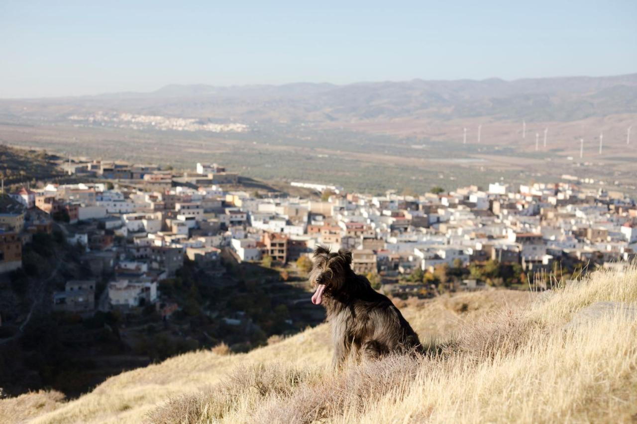 La Flecha Hostel Abrucena 外观 照片